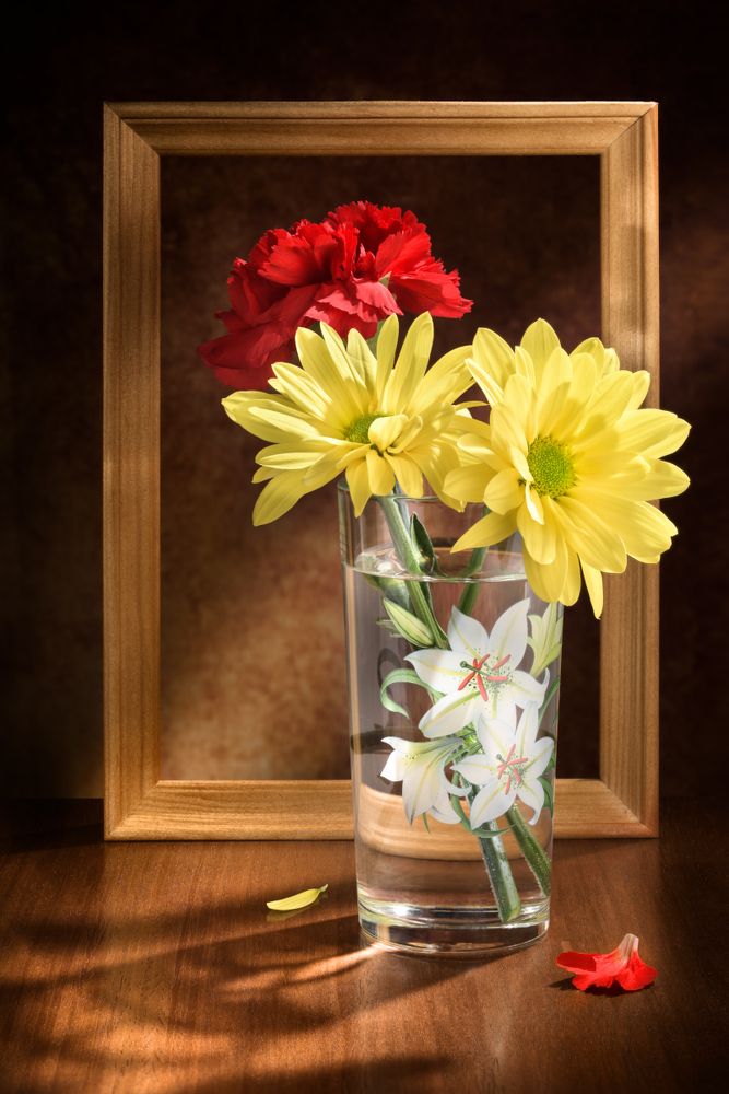 Photograph by Tom Fincher