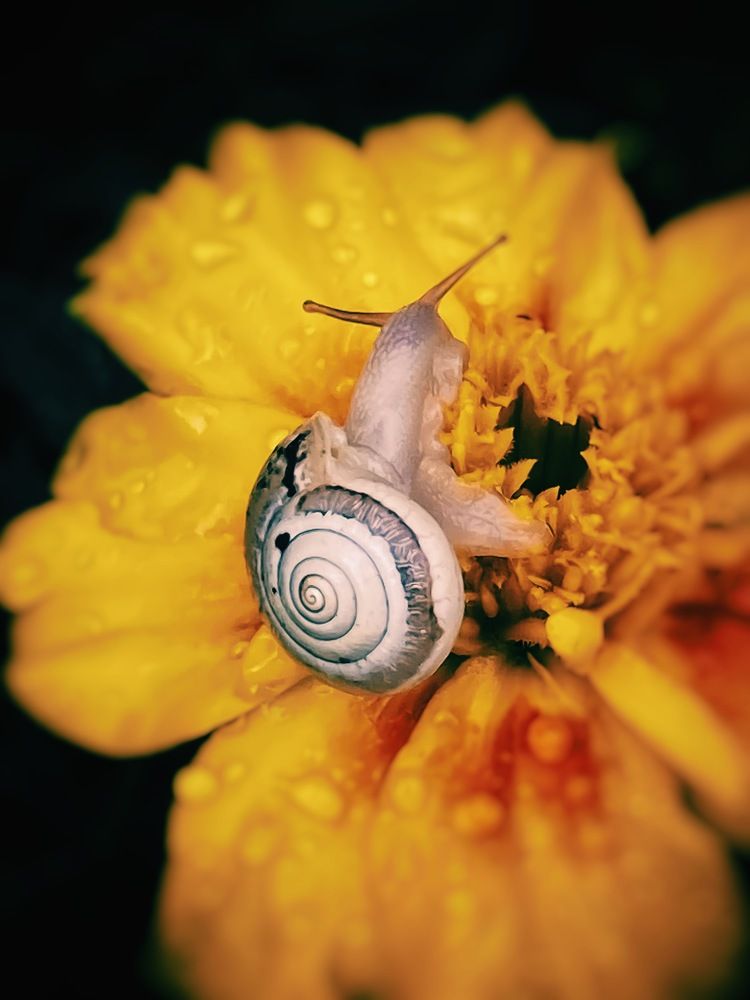 Photograph by Ольга Скиба