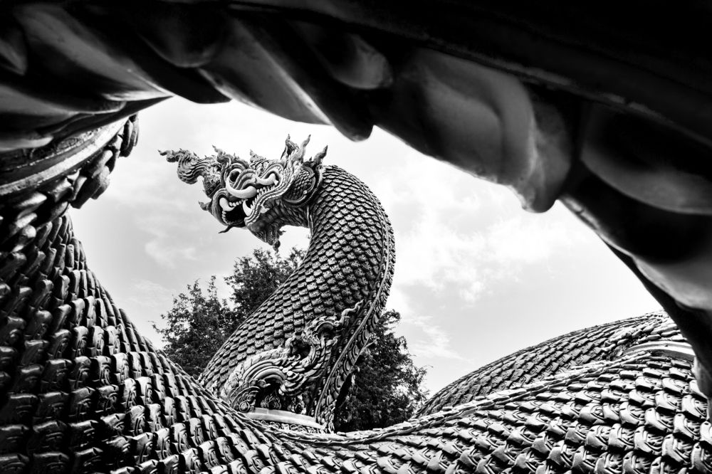 Photograph by Ronaldo Edson Reyes