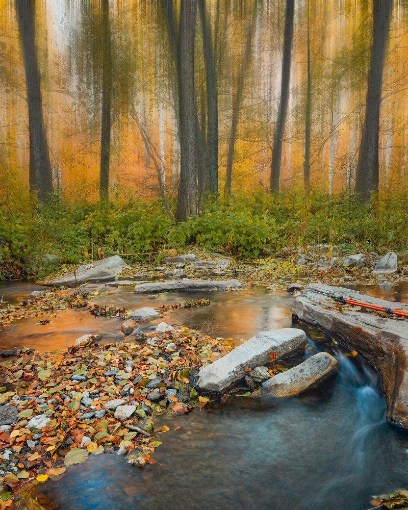 Photograph by Алексей Курочкин