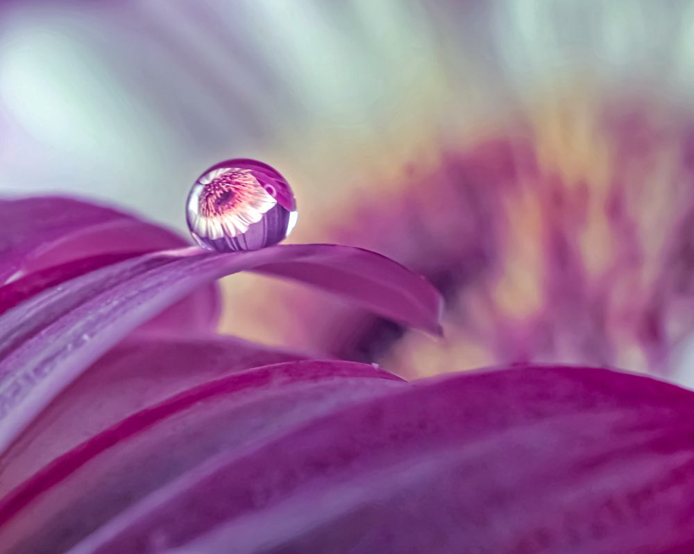 Photograph by Алеся Писнова