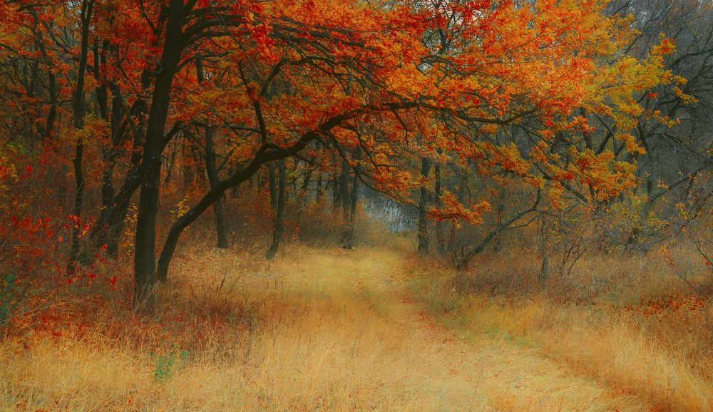 Photograph by Сергей Лысенко