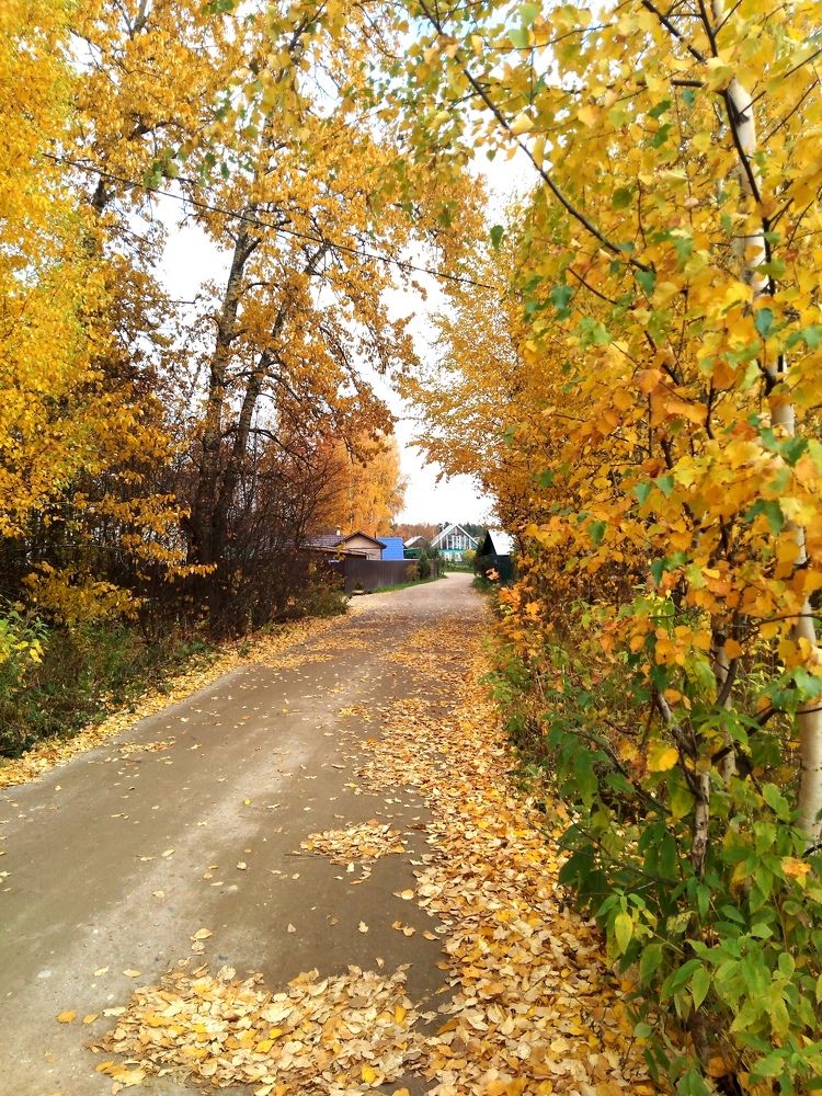 Photograph by Елена Малкова