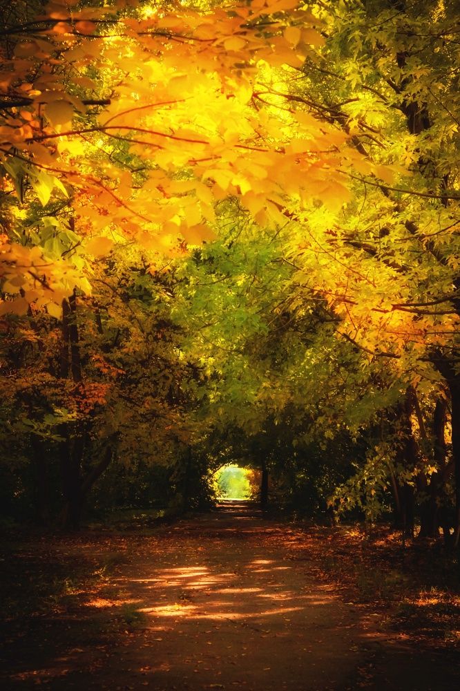 Photograph by Евгения Калугина