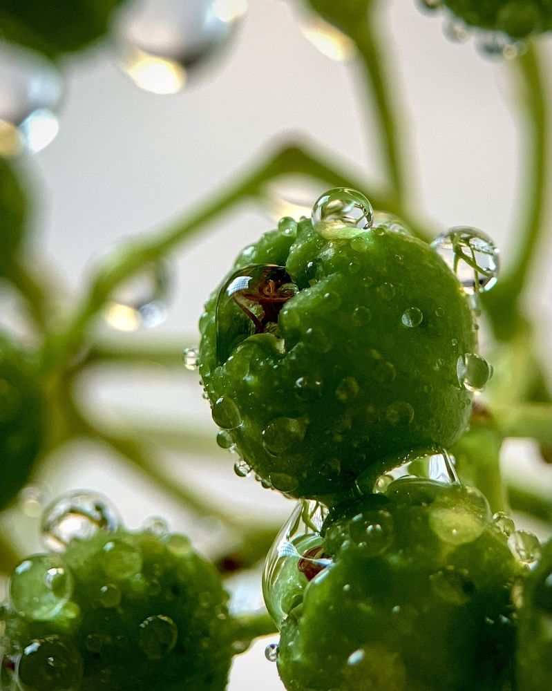 Photograph by Надежда Смирнова