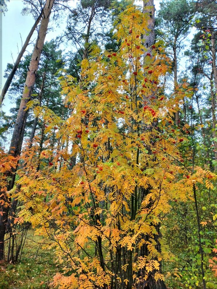 Photograph by Екатерина Лакутина