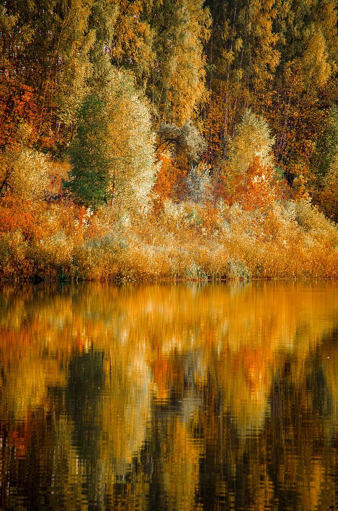 Photograph by Чурляев Максим