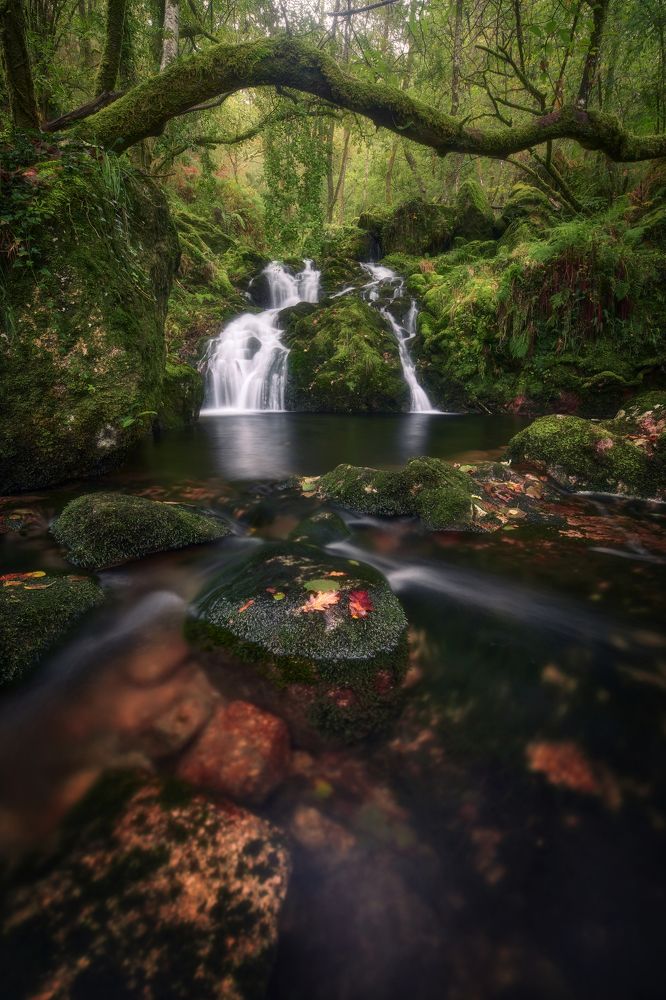 When the first leaves fall.