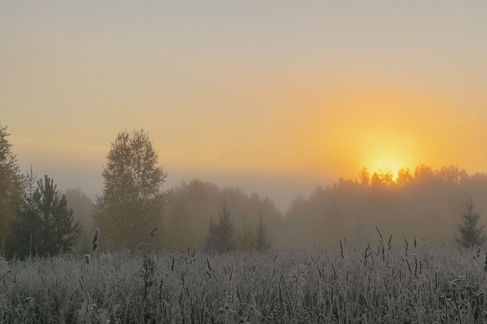 Фотография автора Галина Луценко
