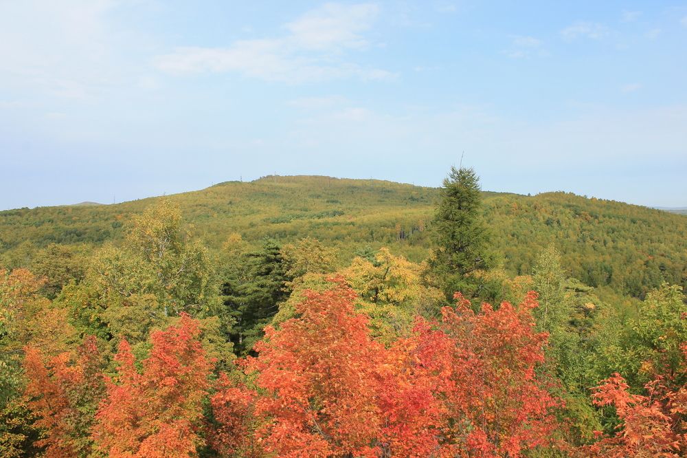 Photograph by Денис Птюшкин