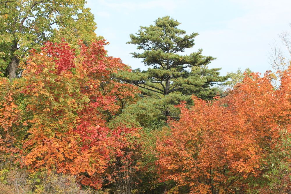 Photograph by Денис Птюшкин