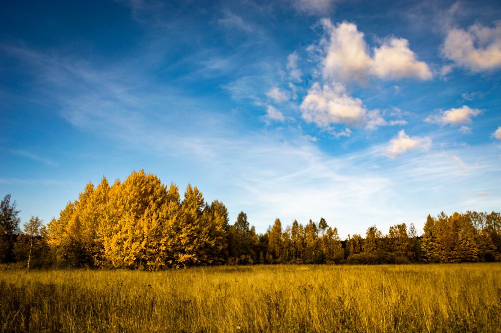 Photograph by Олег Менакер