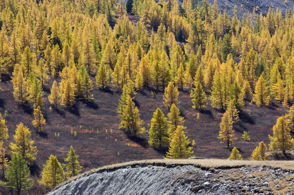 Photograph by Мария Самоловова