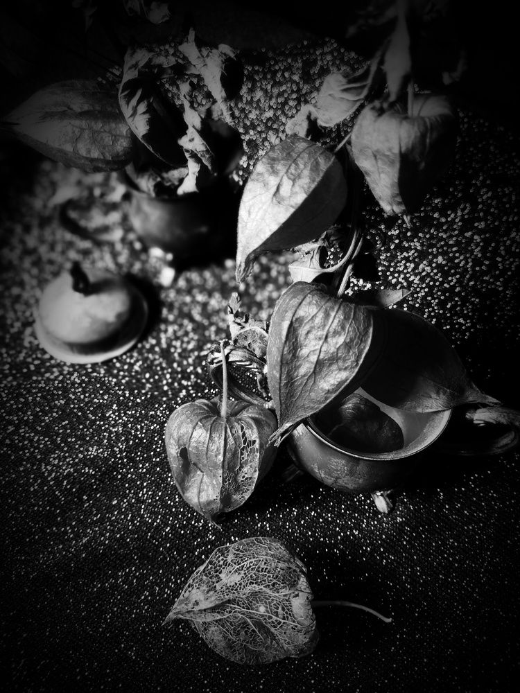 Photograph by Олеся Лосыгина