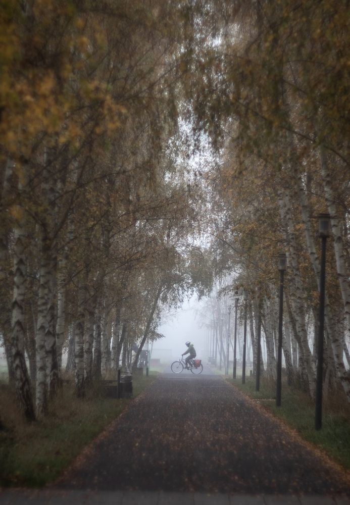 Photograph by Ксения Лаевская