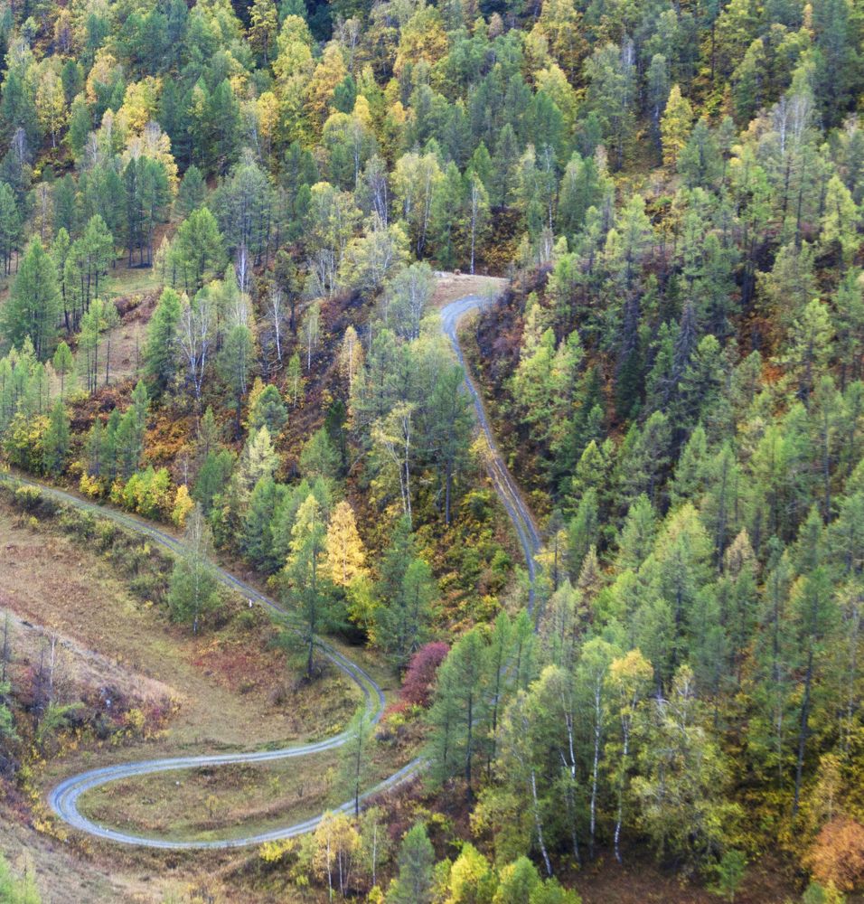 Photograph by Мария Самоловова