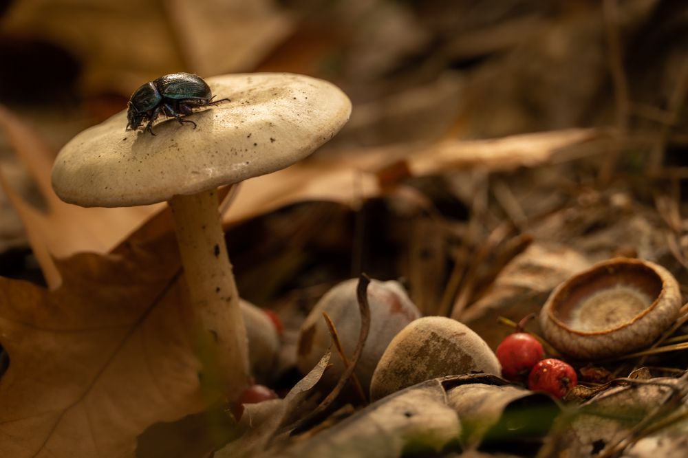 Photograph by Ewa Siwiecka