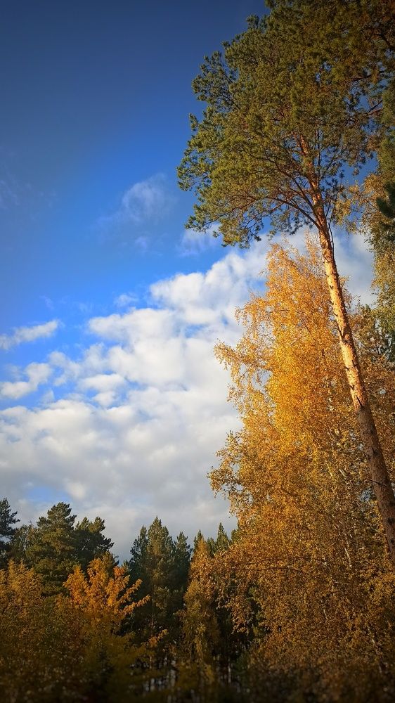 Photograph by Ольга Пономарева