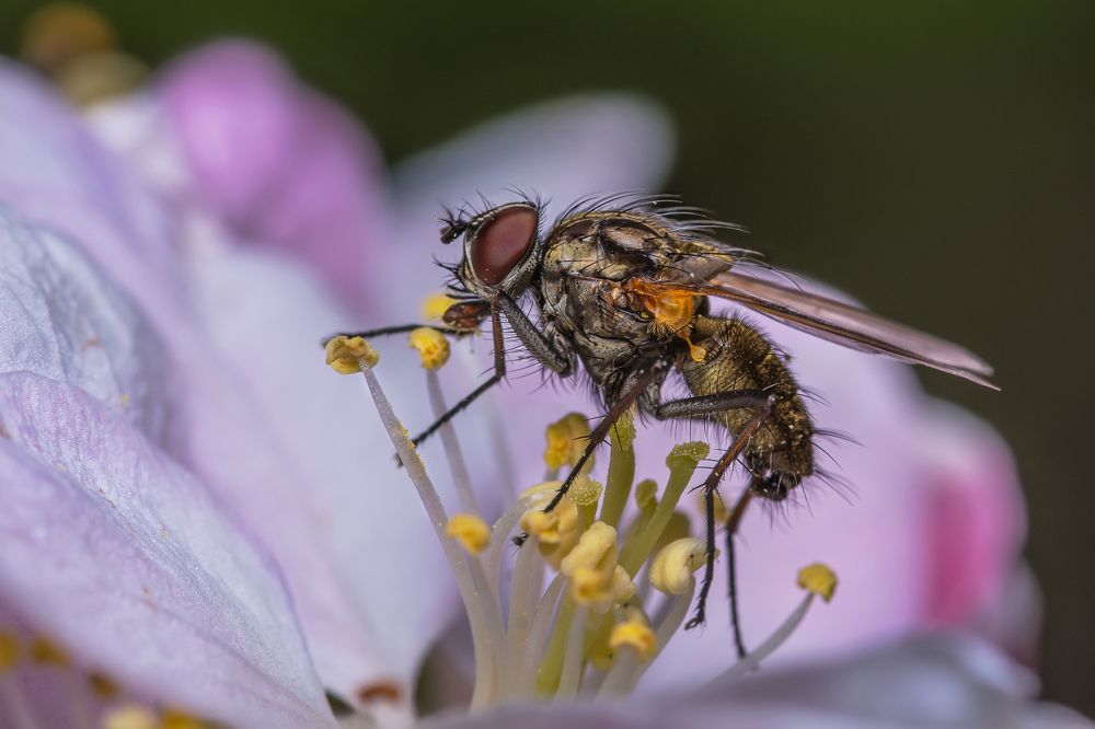 Photograph by Андрей Зимин