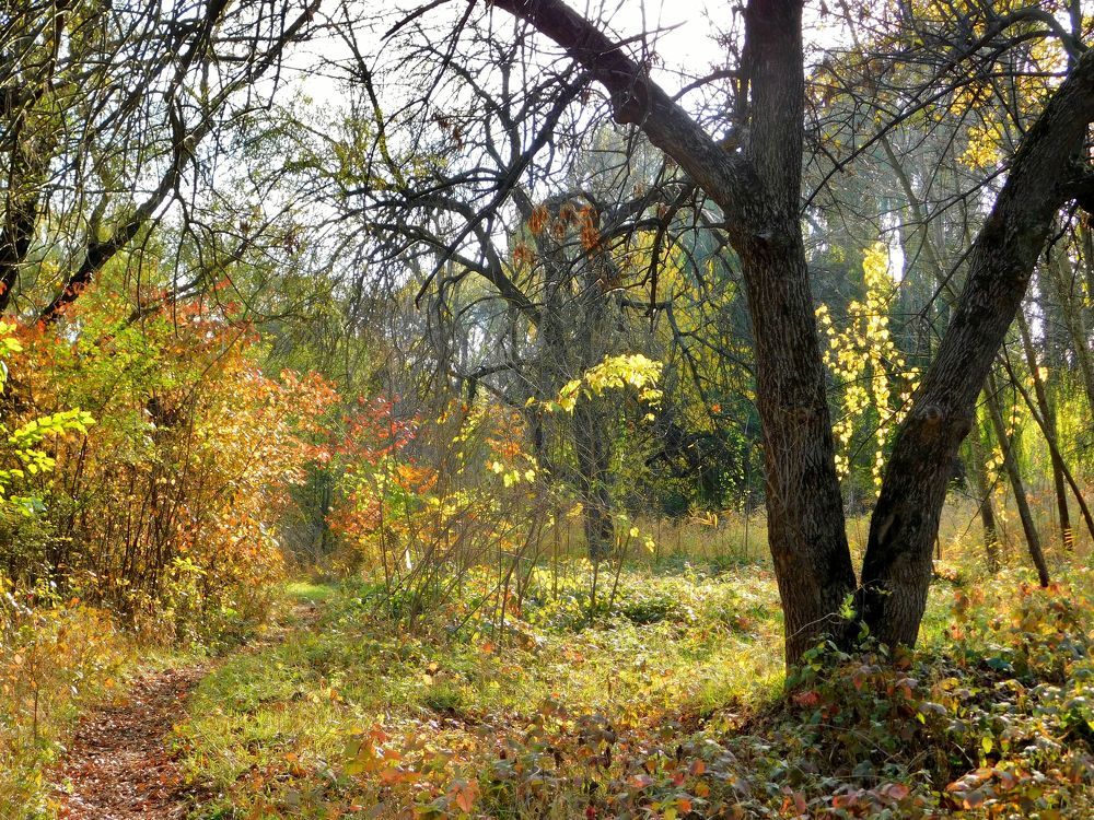 Photograph by Светлана Карпенко