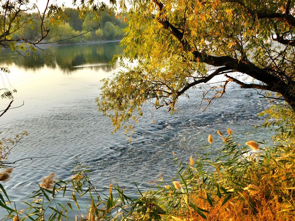 Photograph by Светлана Карпенко