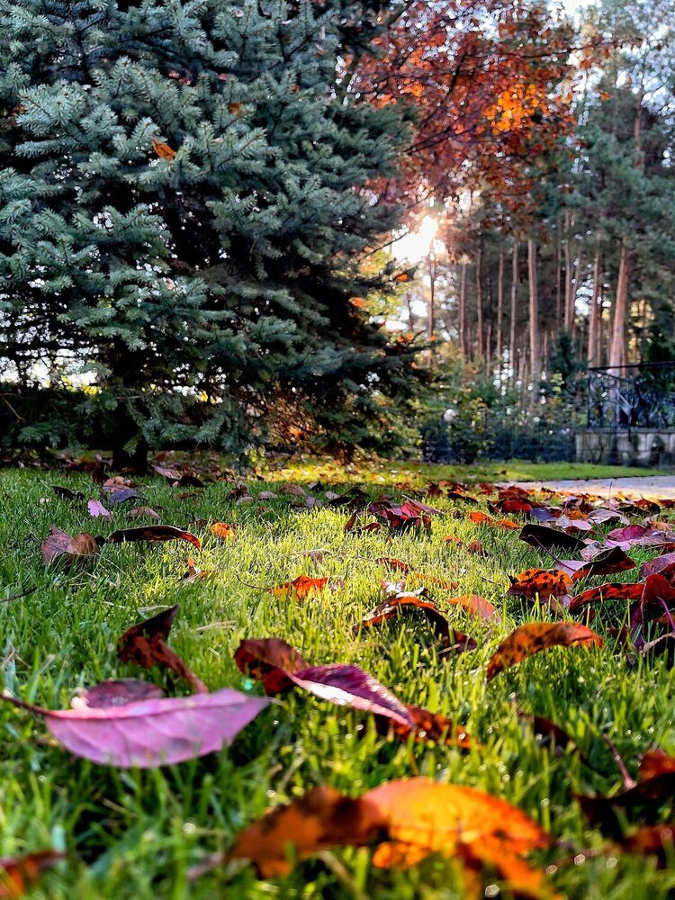 Photograph by Юлия Сергиенко