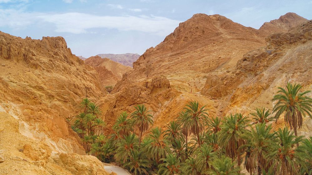 Фотография автора Юрий Цыркунов