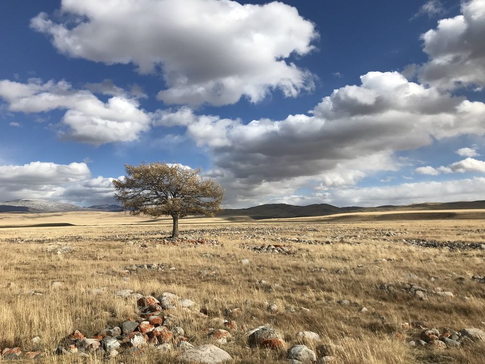 Photograph by Андрей Кузнецов