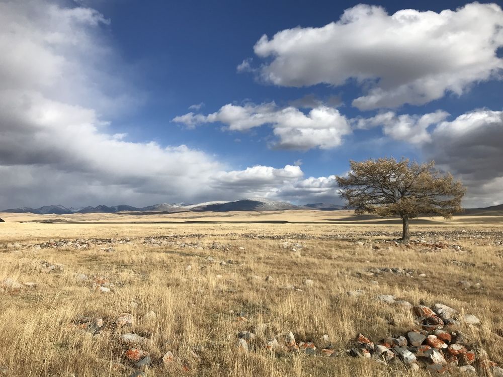 Photograph by Андрей Кузнецов