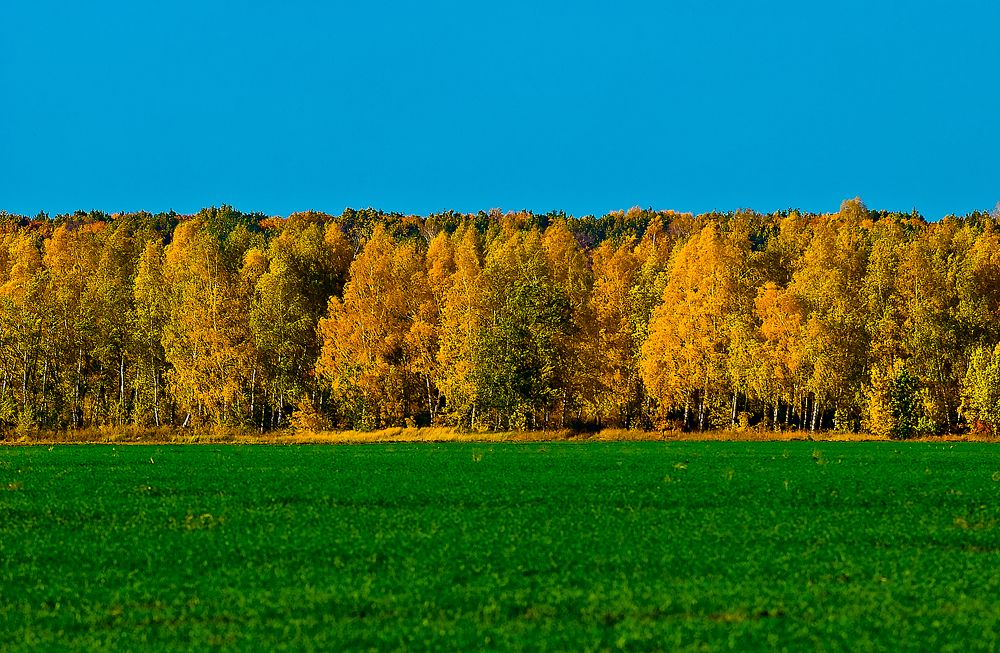Photograph by Дмитрий Руденко