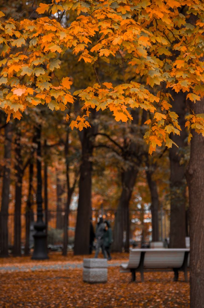 Photograph by Герман Локоцкий