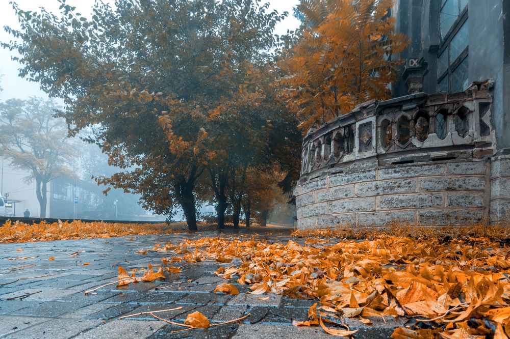 Photograph by Сергей Стратов