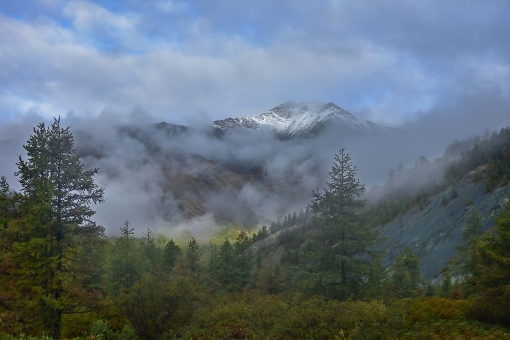 Утро туманное...
