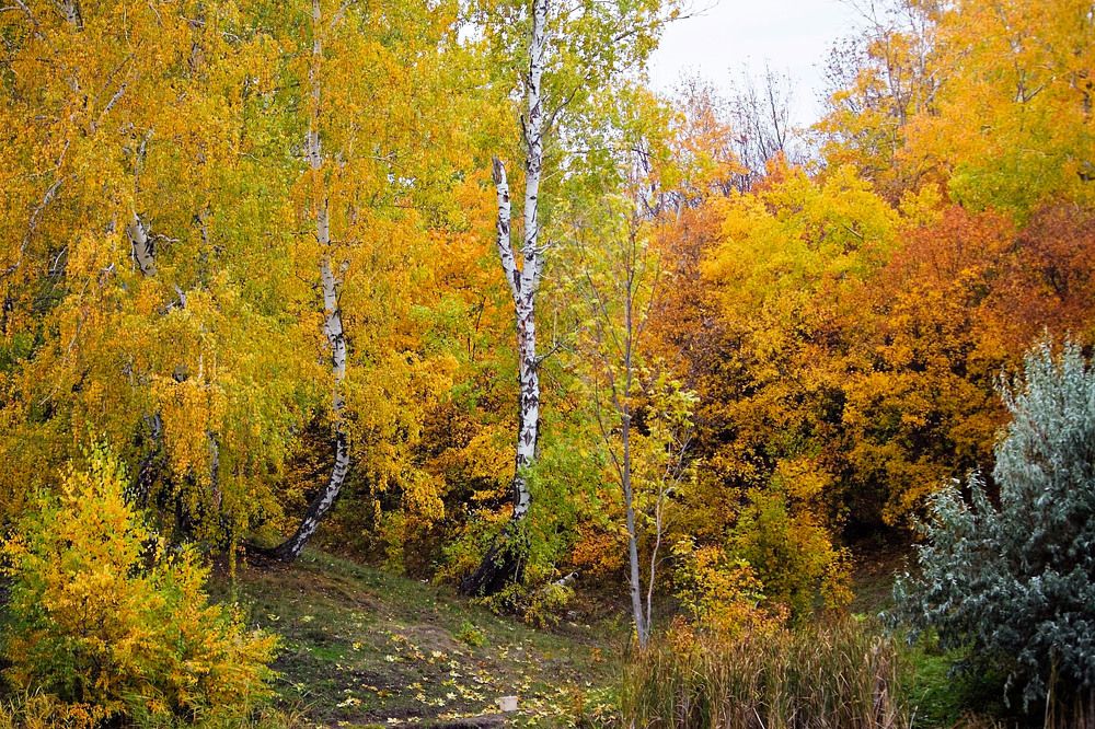 Photograph by Оксана