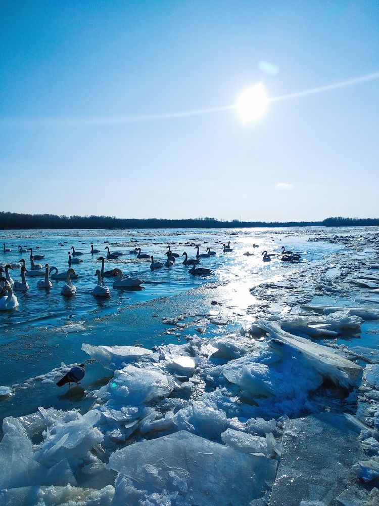 Photograph by Олеся Лосыгина