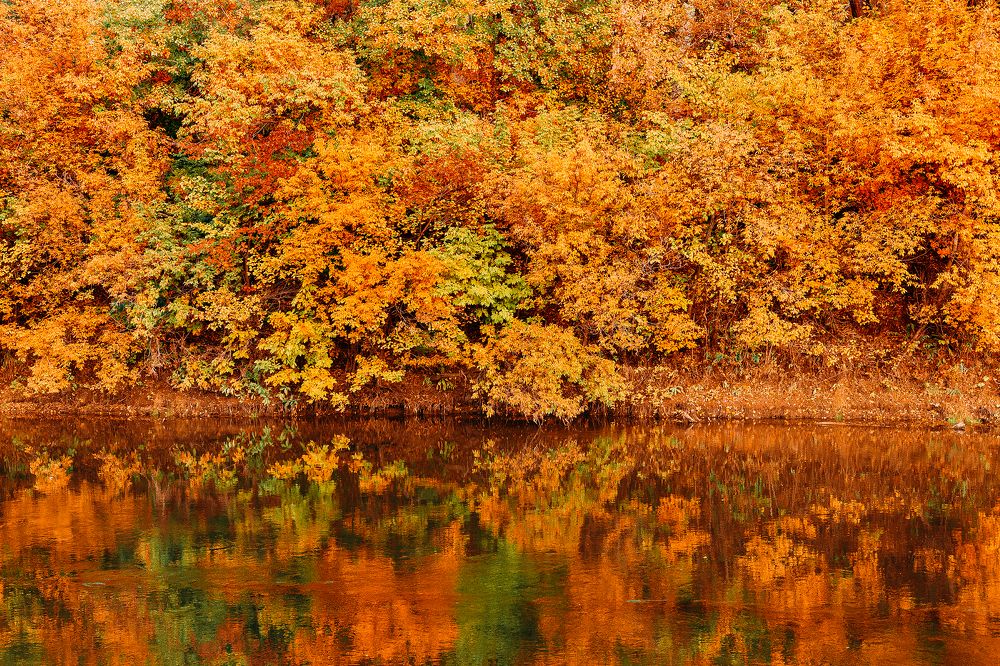 Photograph by Евгений Пивкин