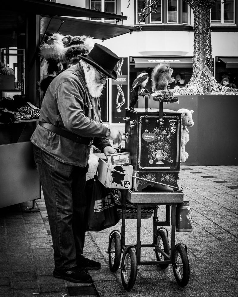 Photograph by Francesco Pronestì