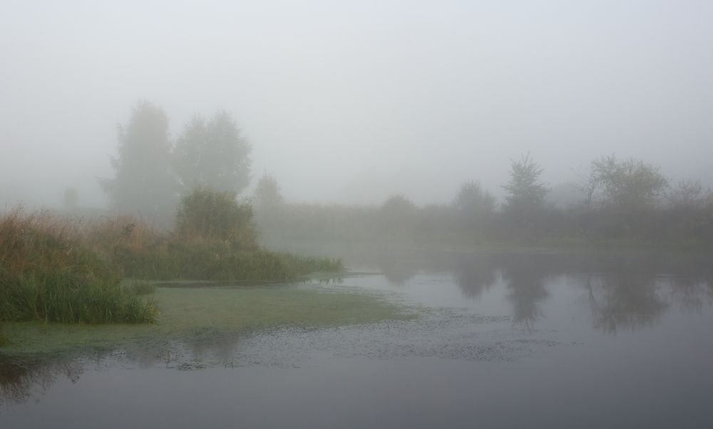 Фотография автора Ольга Бонина