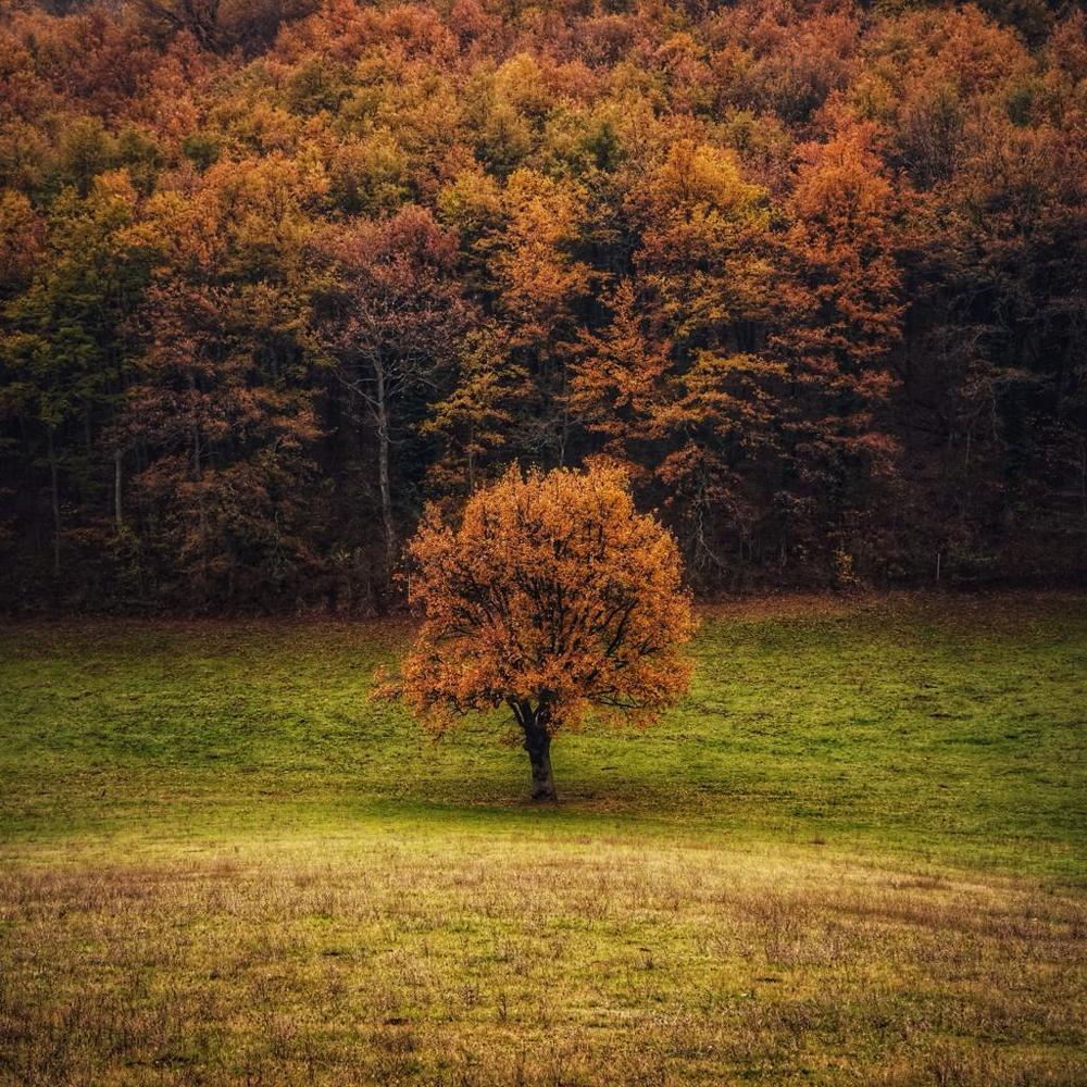 Photograph by Марина Неберекутина