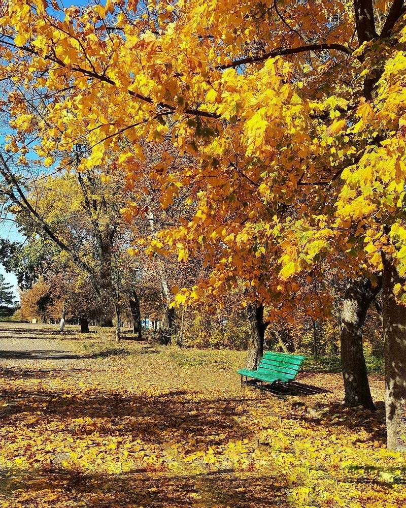 Photograph by Светлана Смирнова