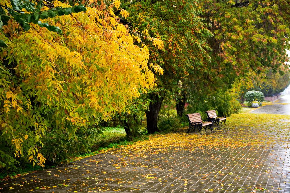 Photograph by Andrey