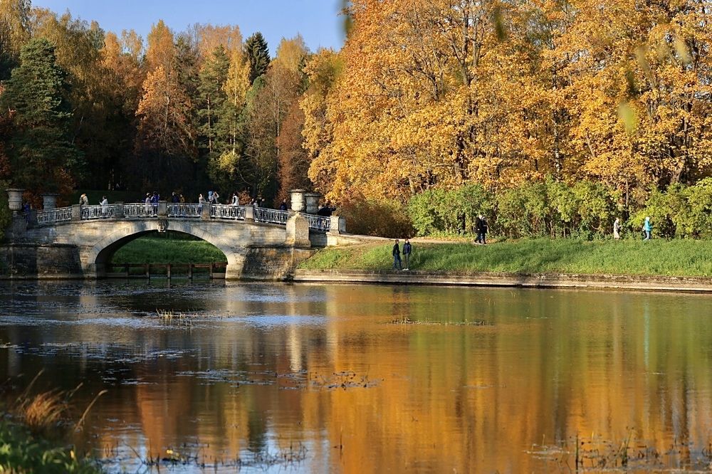 Photograph by Ольга Одаренко