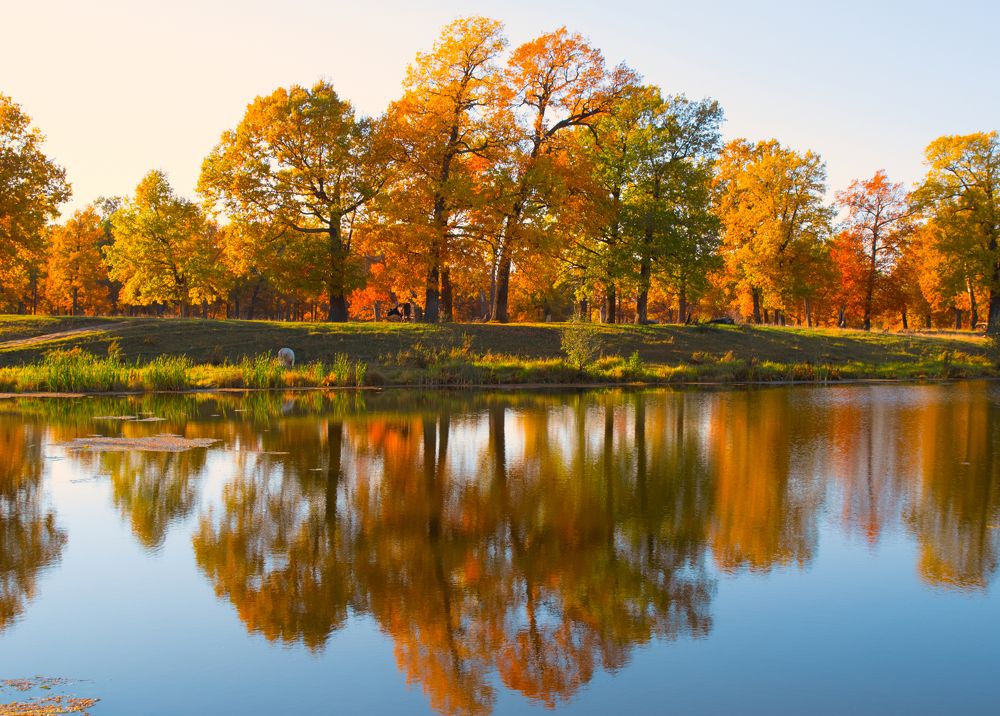 Photograph by Артём Аниськин