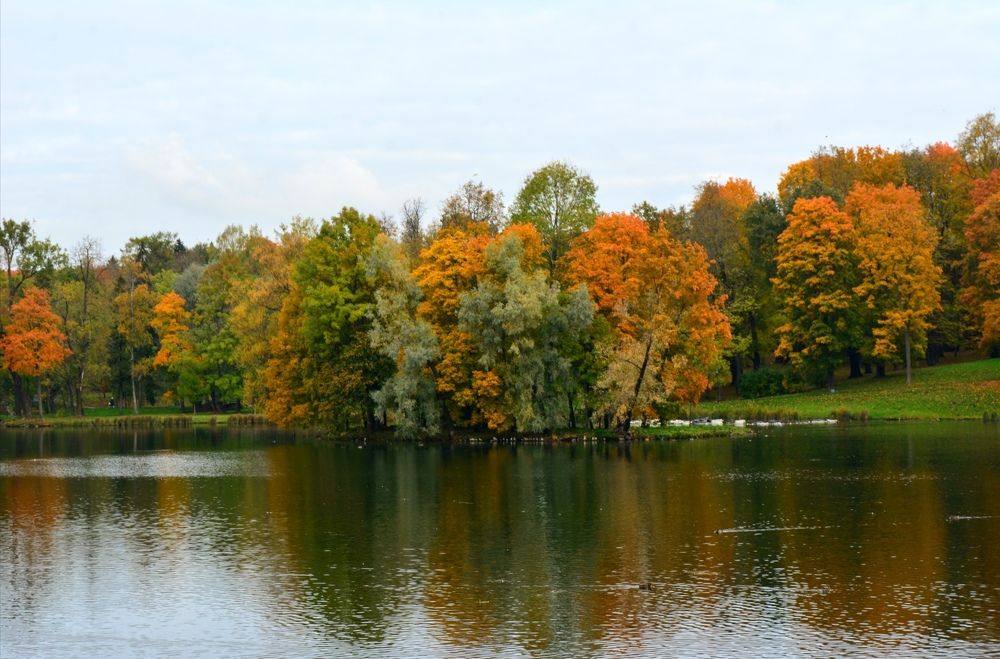 Photograph by Marina Ivanova
