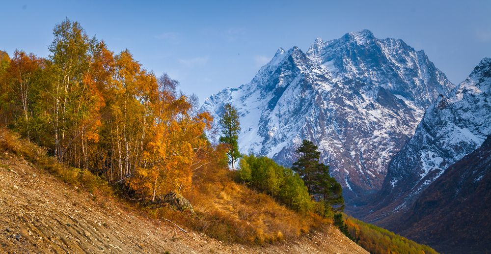 Опять зима стучится в двери ...