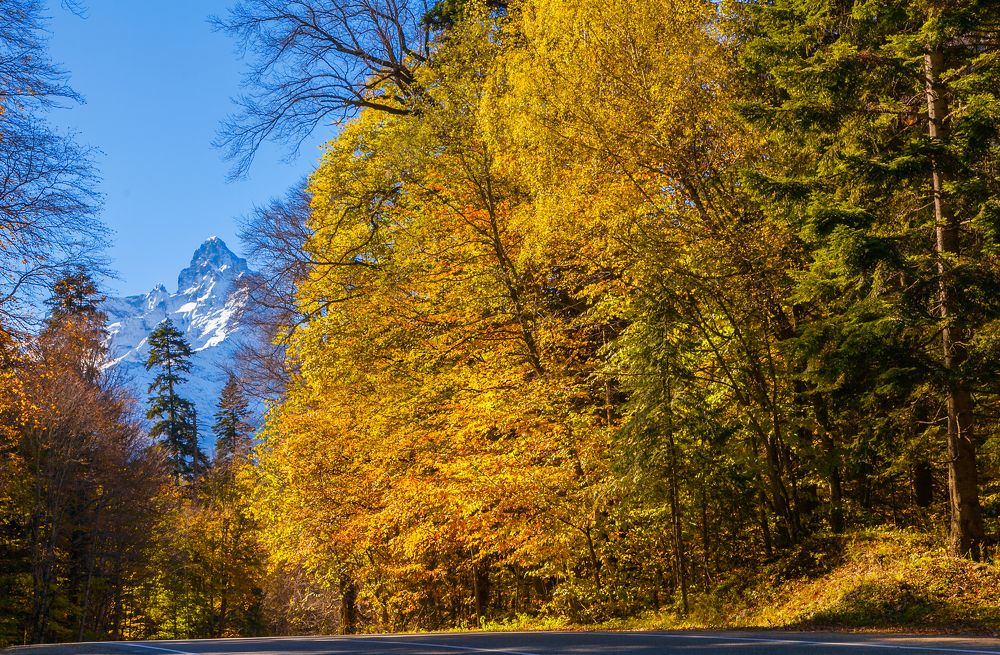 Осенней дорогой ...