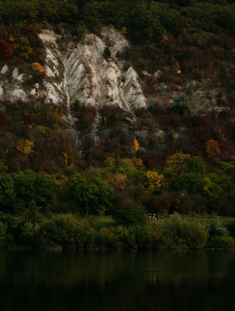 Photograph by Полина Килат