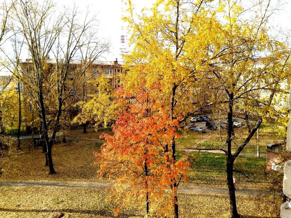 Photograph by Елена Малкова