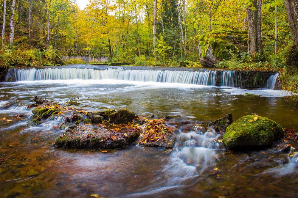 Photograph by Andres Papp