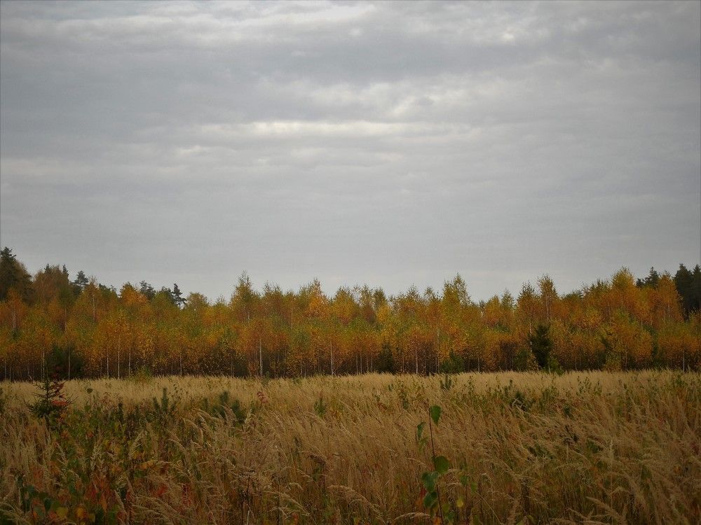 Photo #6560879